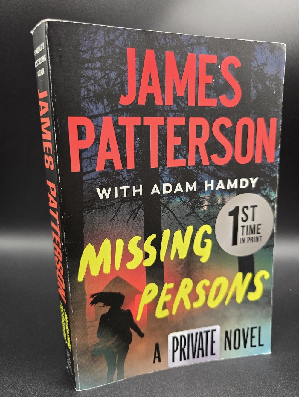 Missing Persons A Private Novel by James Patterson and Adam Hamdy Paperback Book